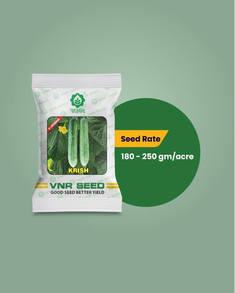 Krish F1 Hybrid Cucumber Seeds – High Yield