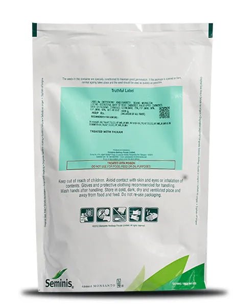 Moraleda Beans - Staking Bean with 15-20 cm Pods