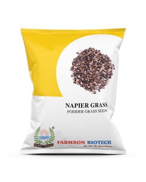 Farmson Napier Fodder Grass Seeds – High Yield & Premium Quality