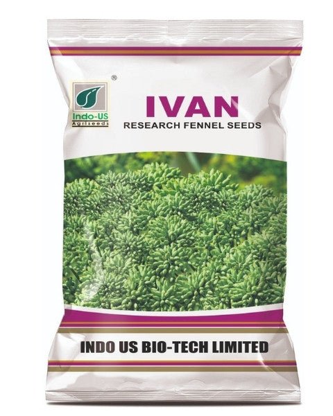 INDO US IVAN FENNEL
